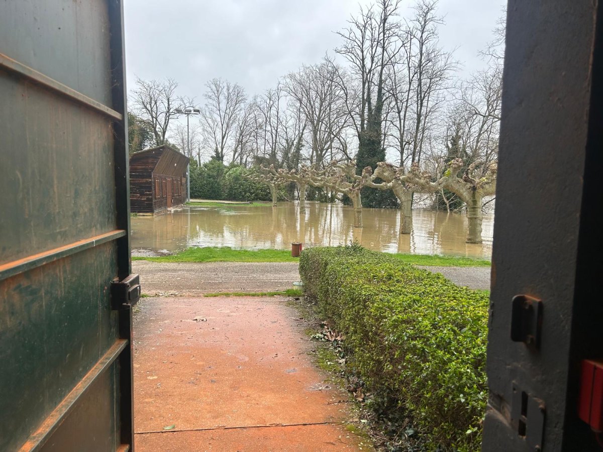 WhatsApp Image 2026-02-13 at 13.08.11