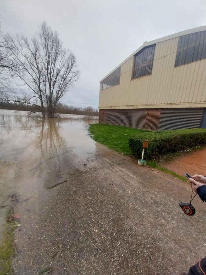 WhatsApp Image 2026-02-13 at 17.23.14